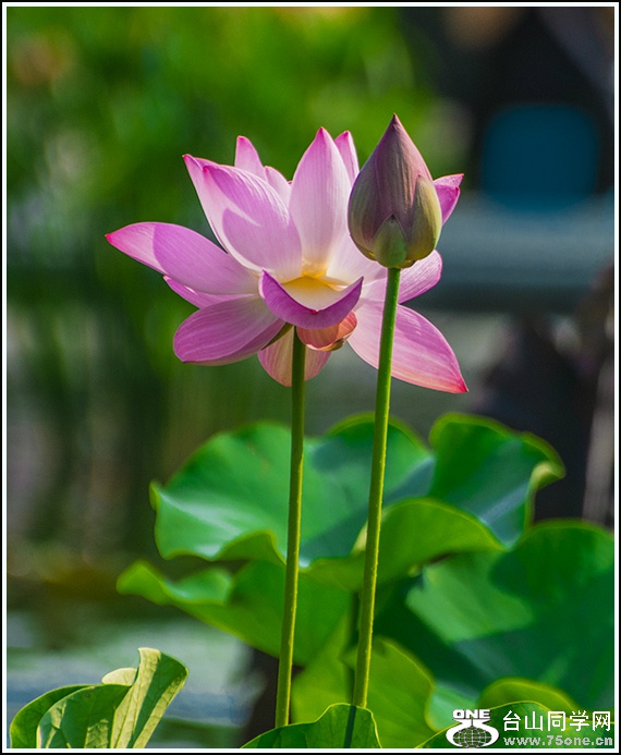 _DSC0222_meitu_1.jpg
