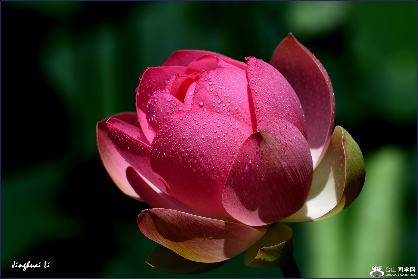 DSC_3814.jpg