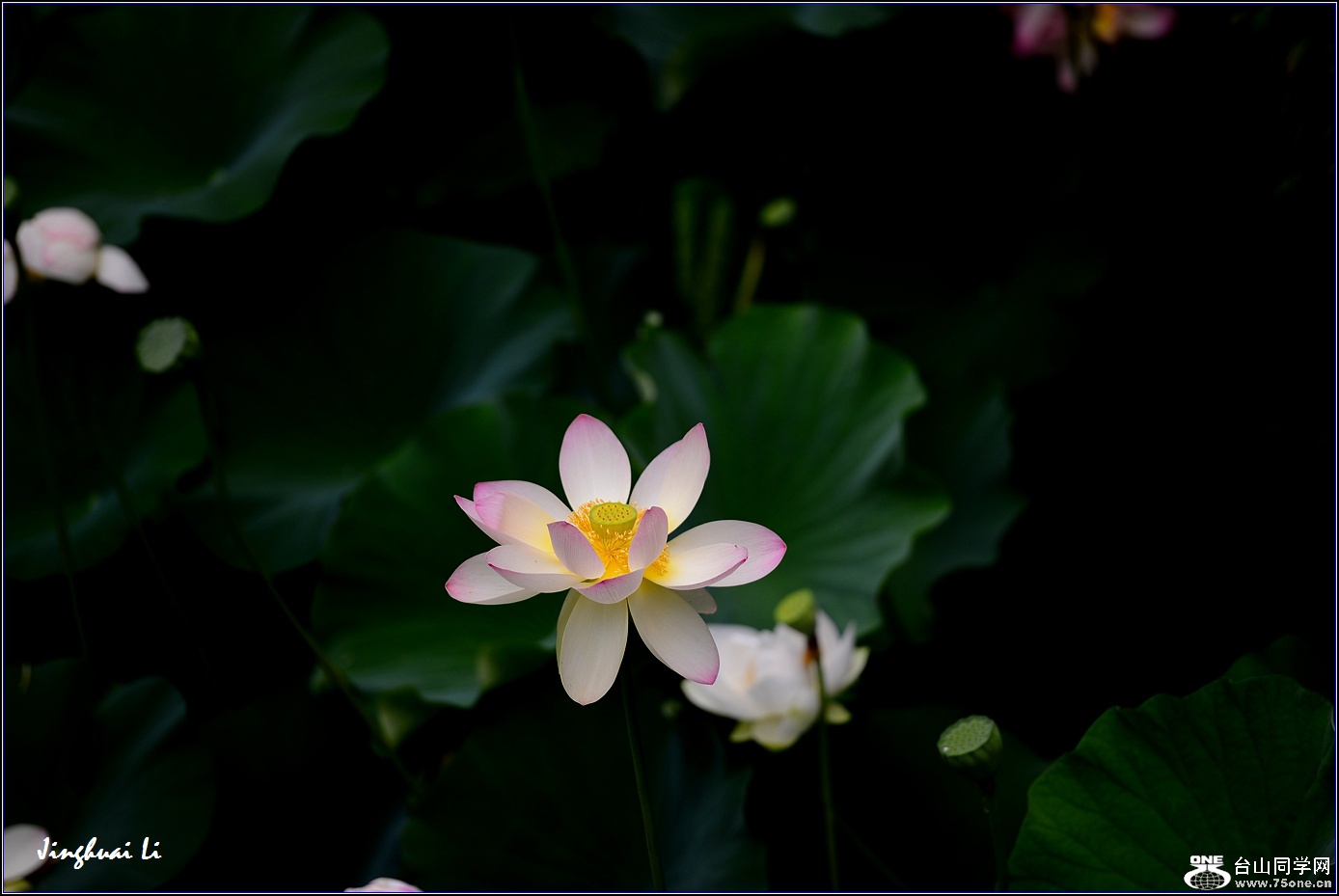 DSC_9959.jpg