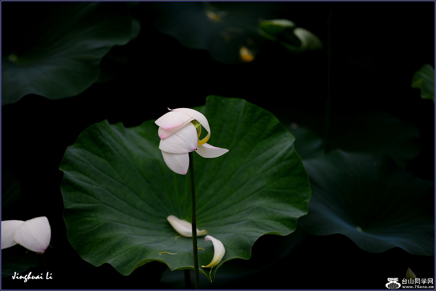 DSC_9962.jpg