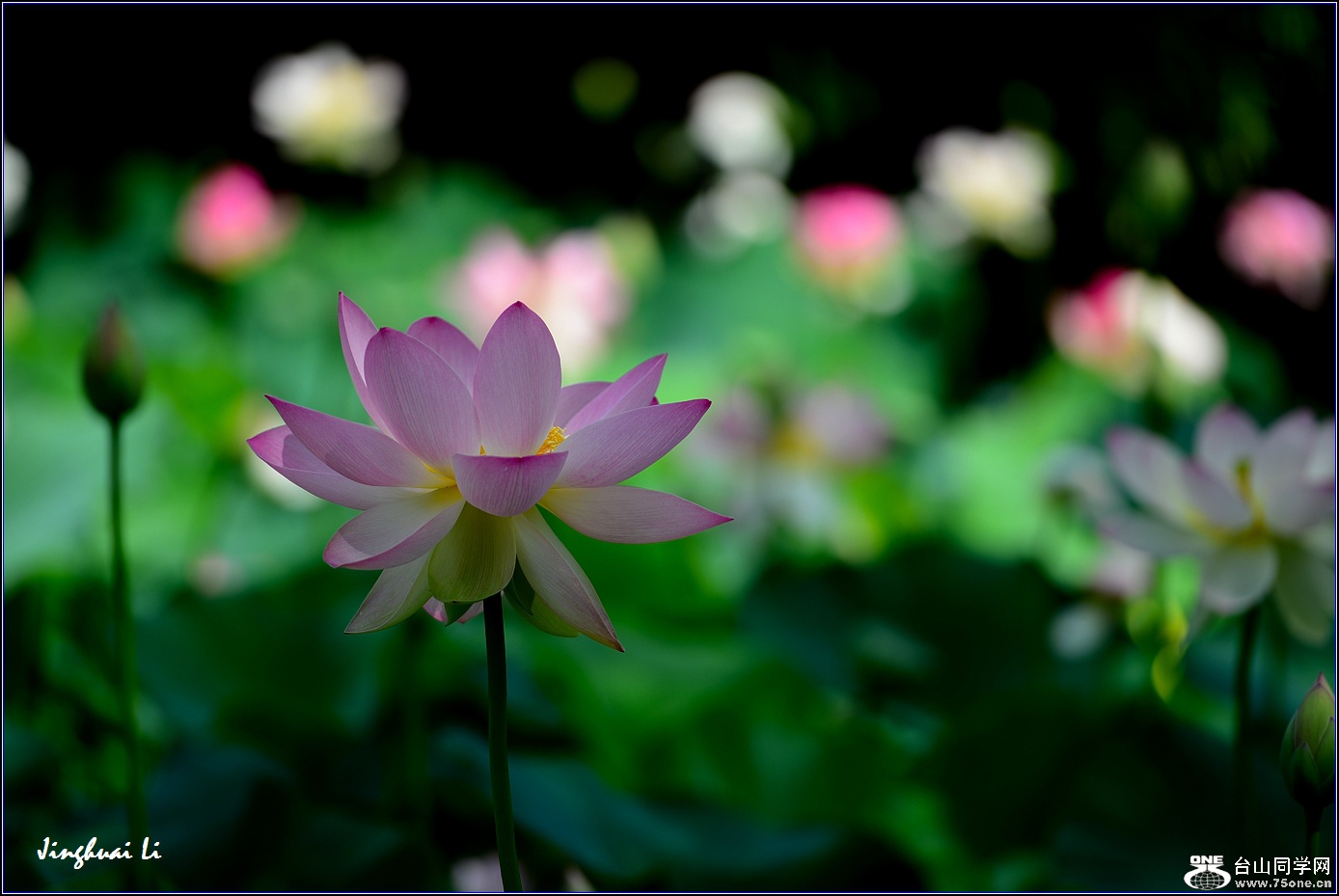 DSC_9875.jpg