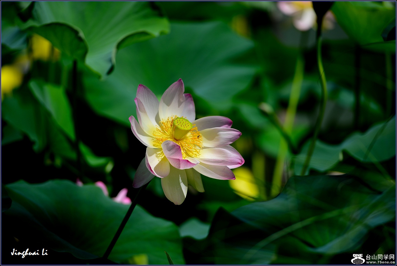 DSC_9880.jpg