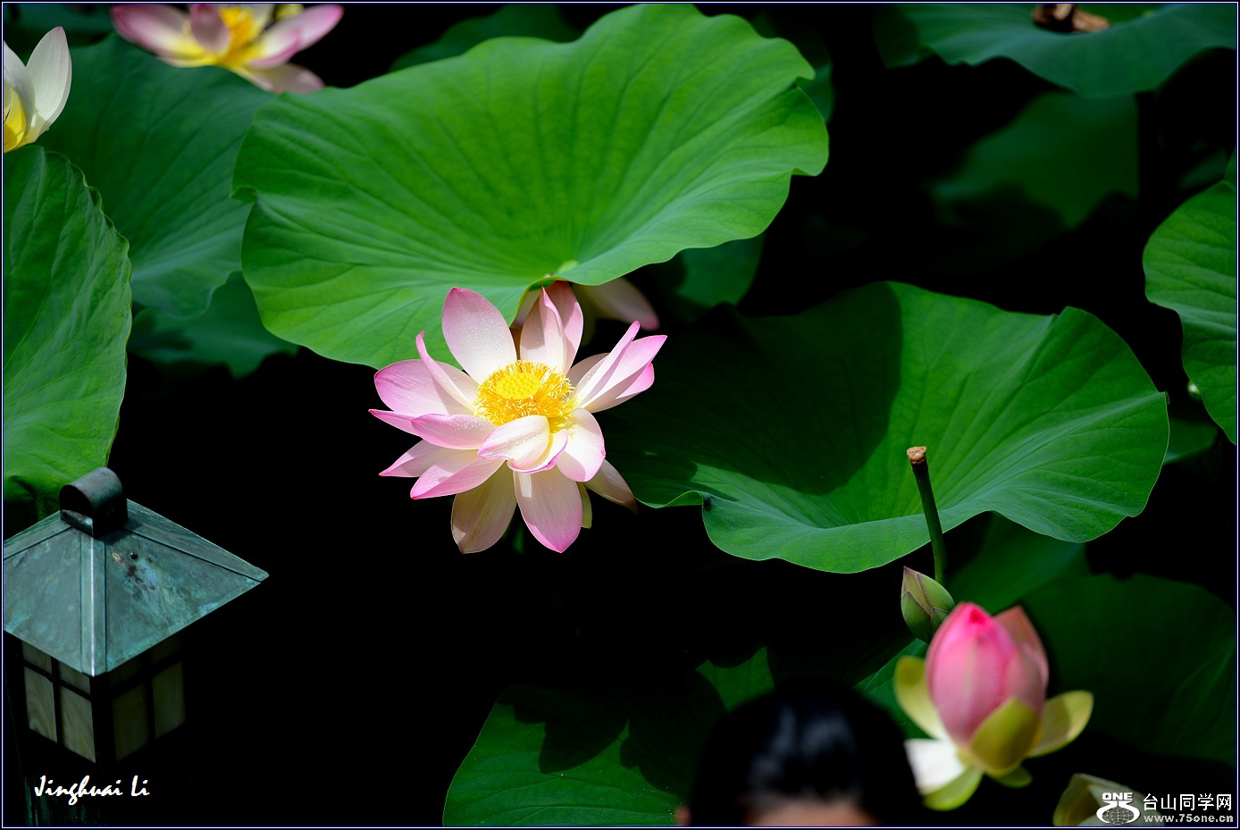 DSC_9976.jpg