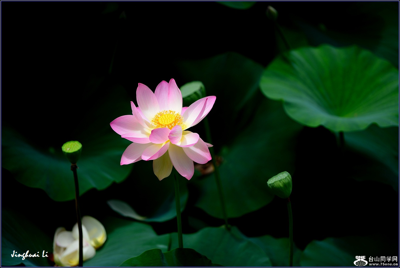 DSC_9979.jpg