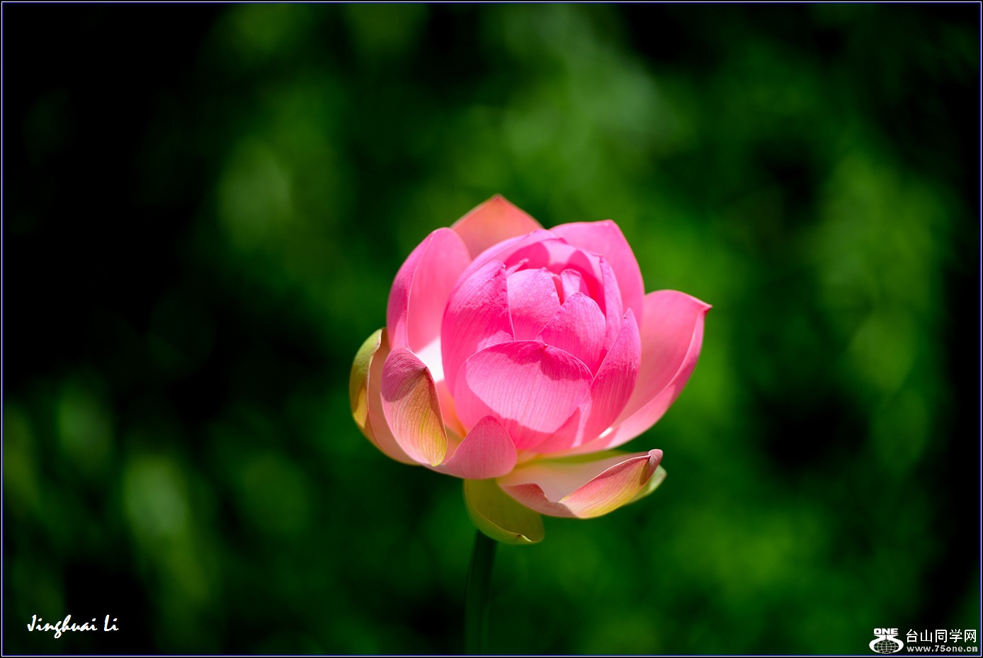 DSC_9906.jpg