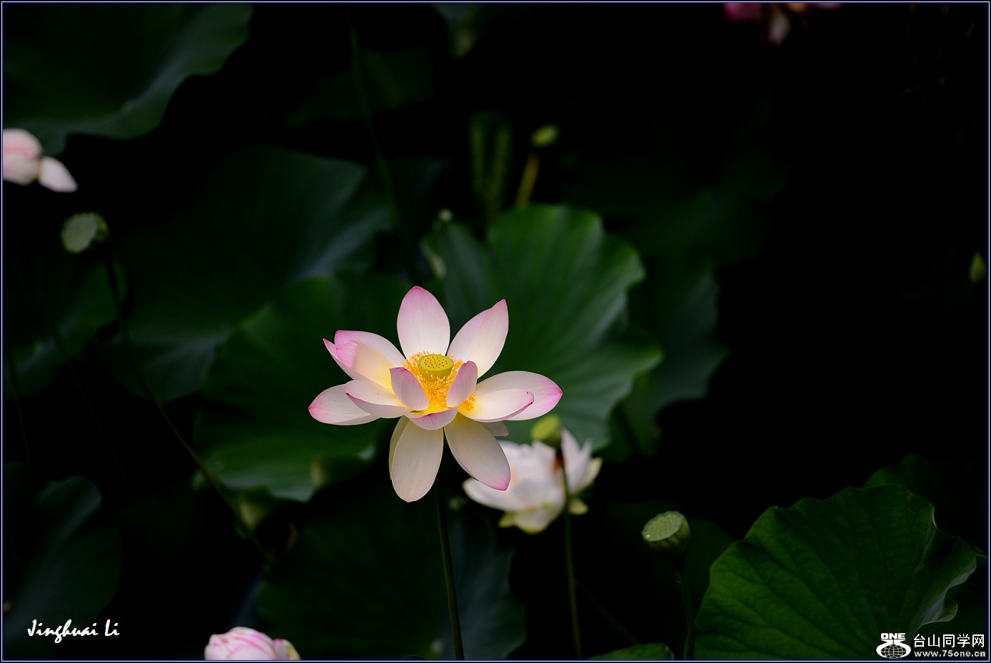 DSC_9933.jpg