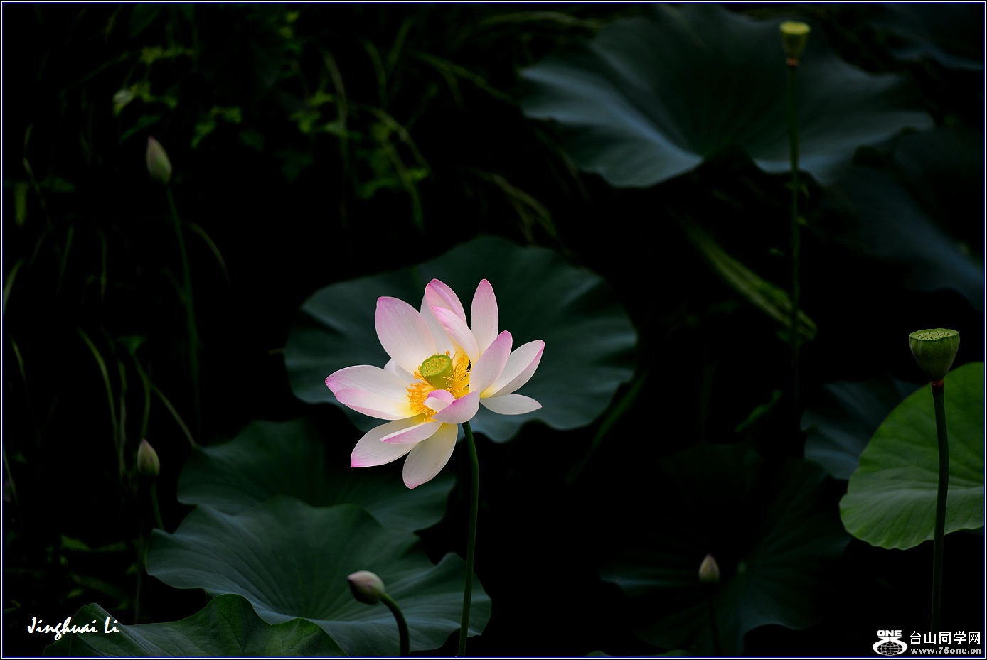 DSC_9942.jpg