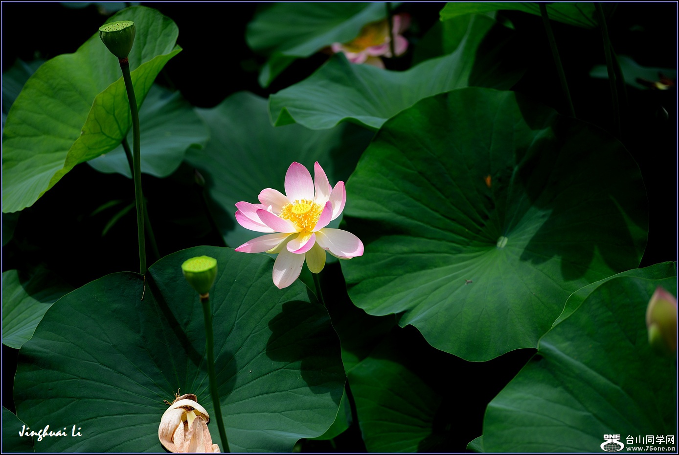DSC_9967.jpg