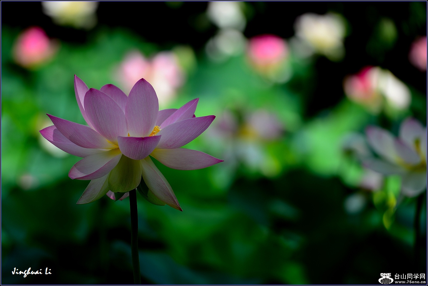 DSC_9875_.jpg