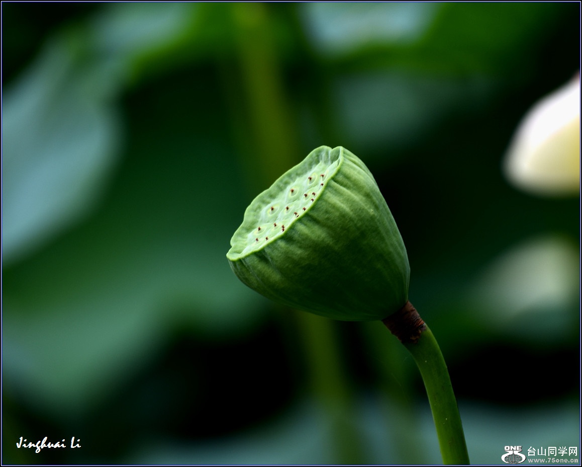 DSC_3875.jpg