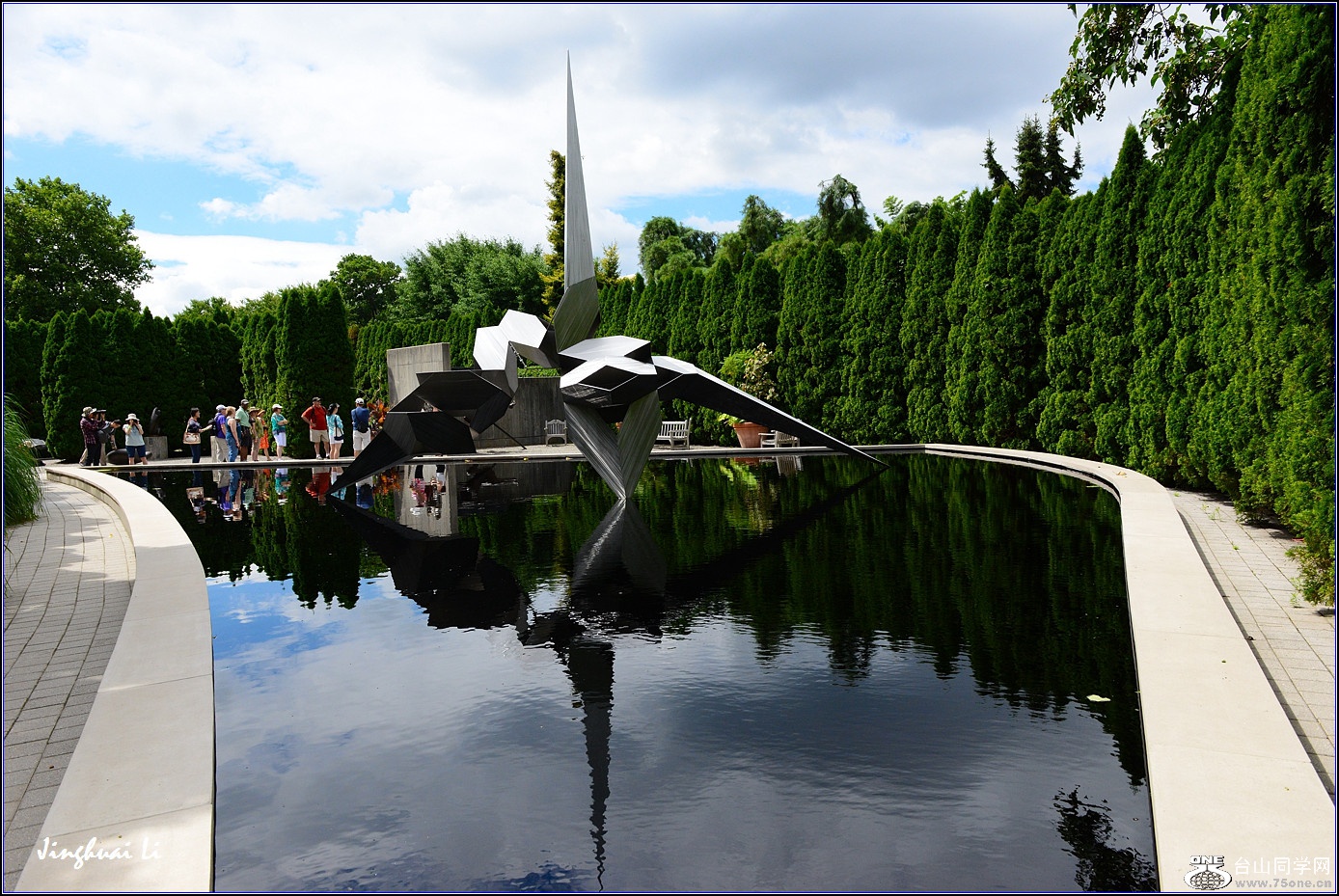DSC_9831.jpg