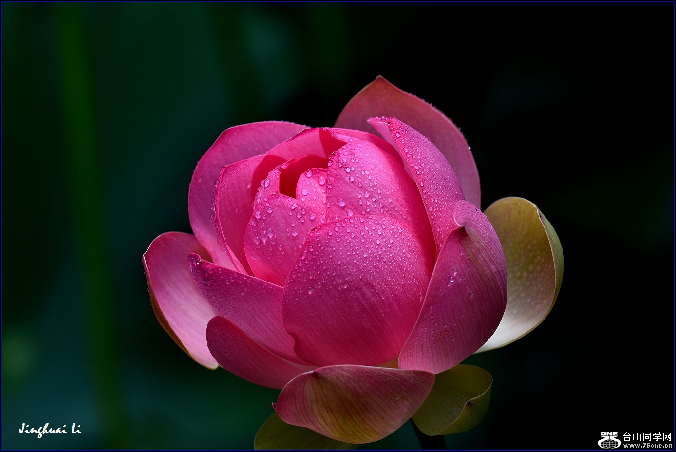 DSC_3830.jpg