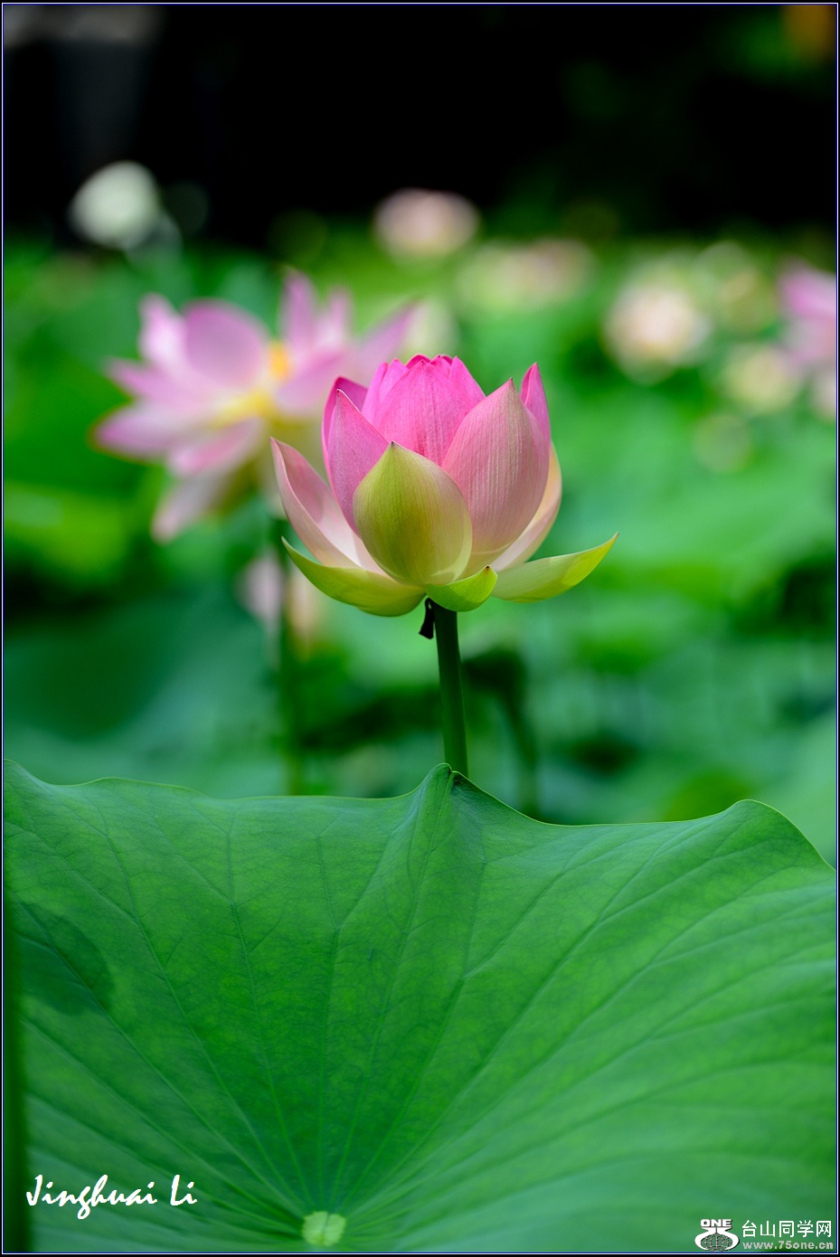 DSC_9888.jpg