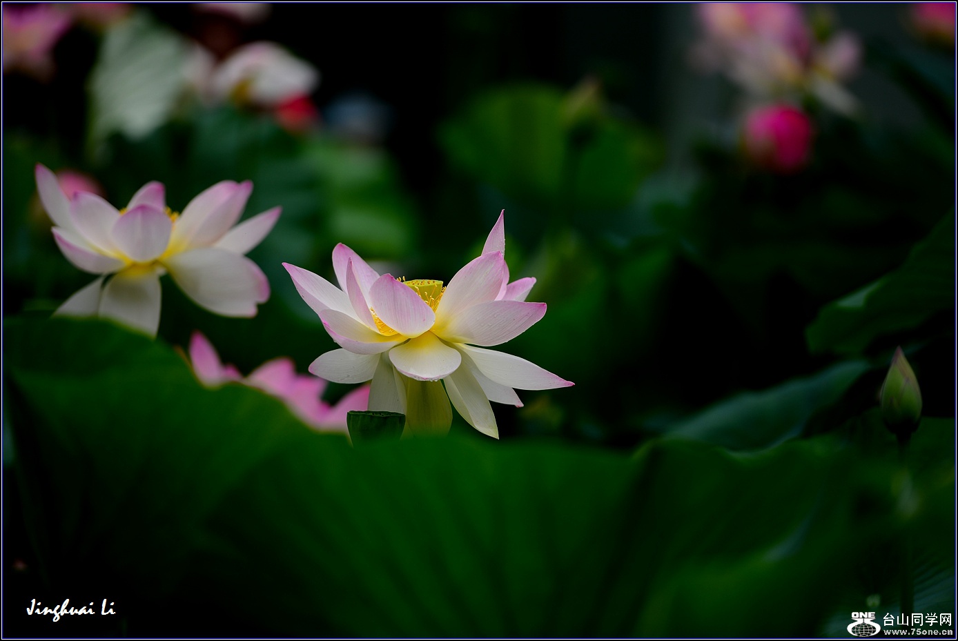 DSC_9870.jpg