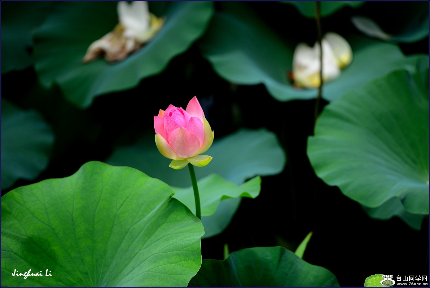 DSC_9980.jpg