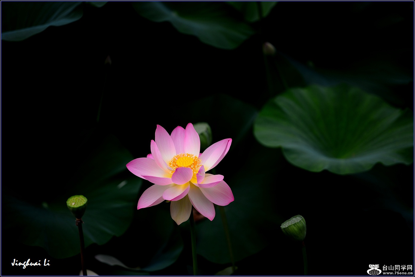 DSC_9939.jpg