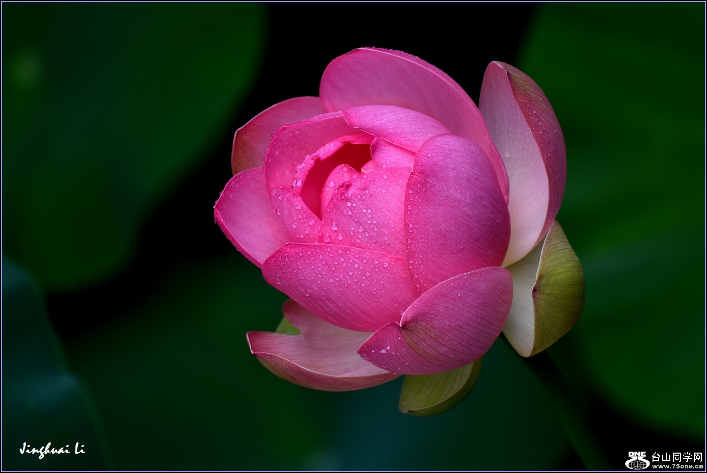 DSC_3881.jpg