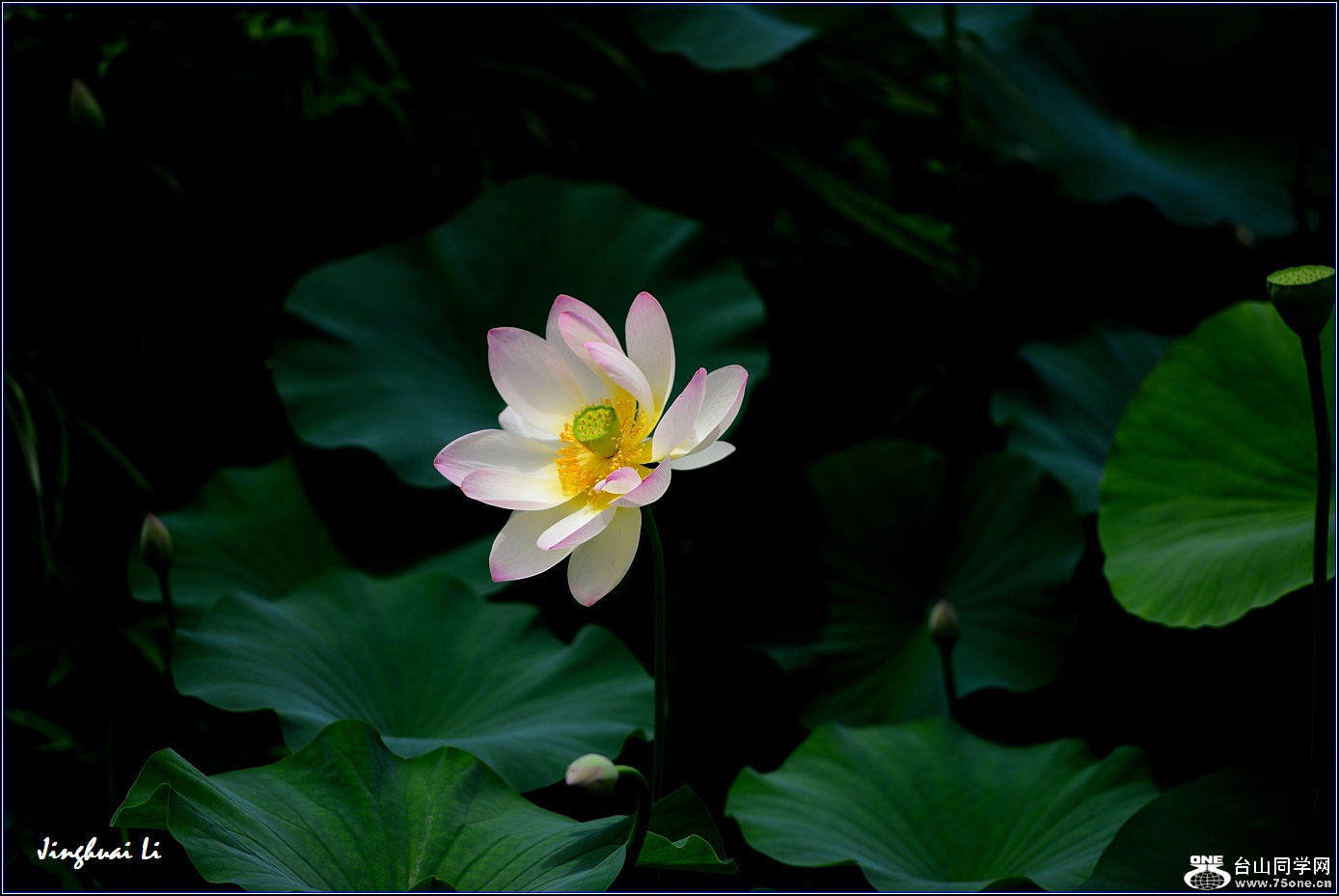 DSC_9966.jpg