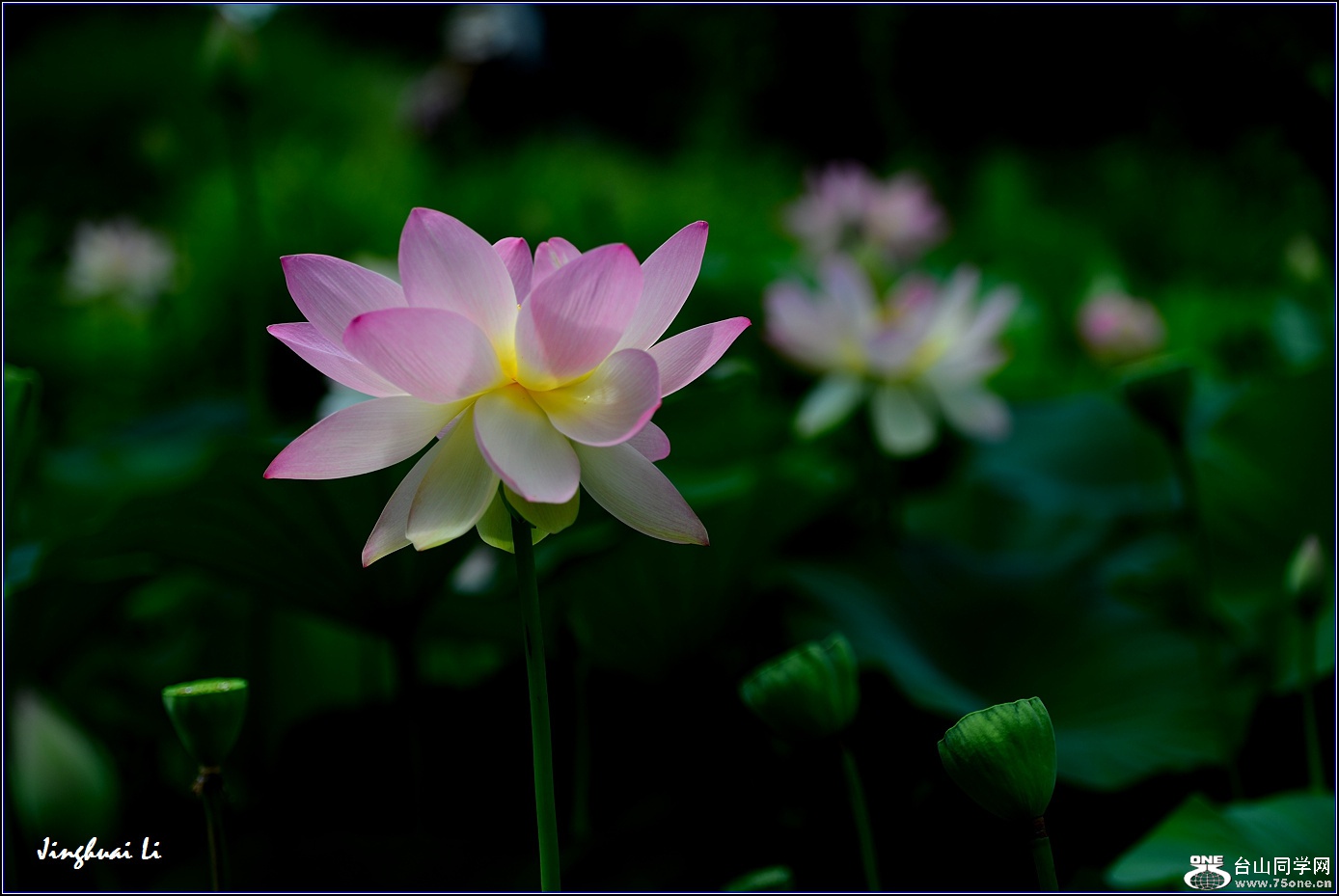 DSC_9896.jpg