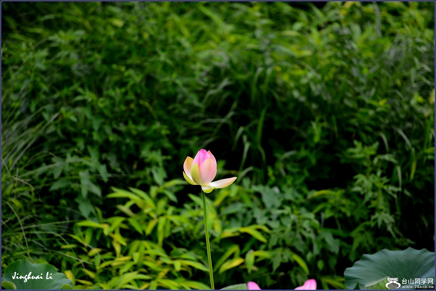 DSC_9953.jpg