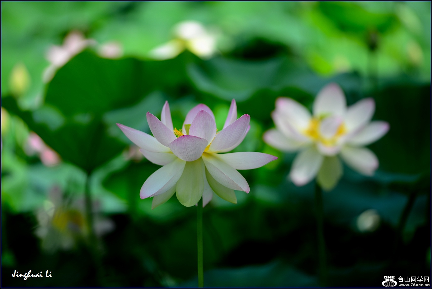 DSC_9877.jpg