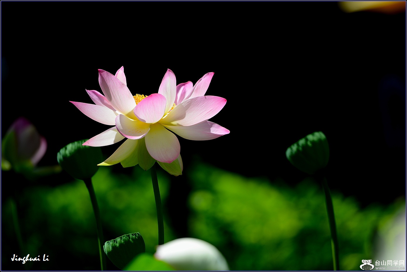 DSC_9892.jpg