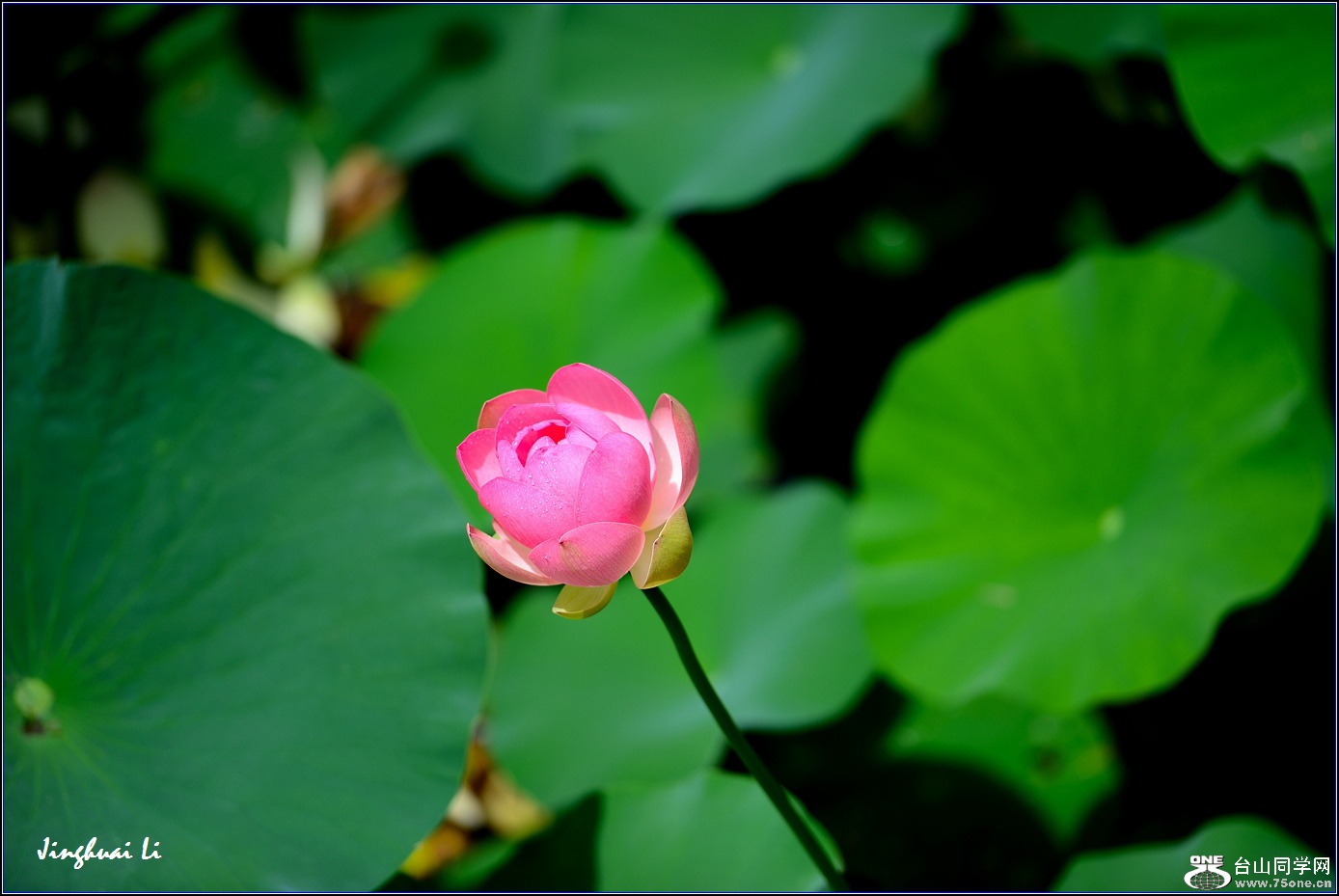 DSC_9973.jpg