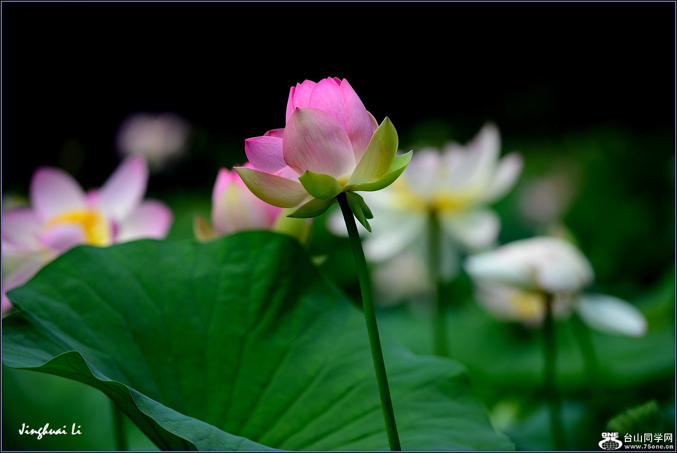 DSC_9899.jpg