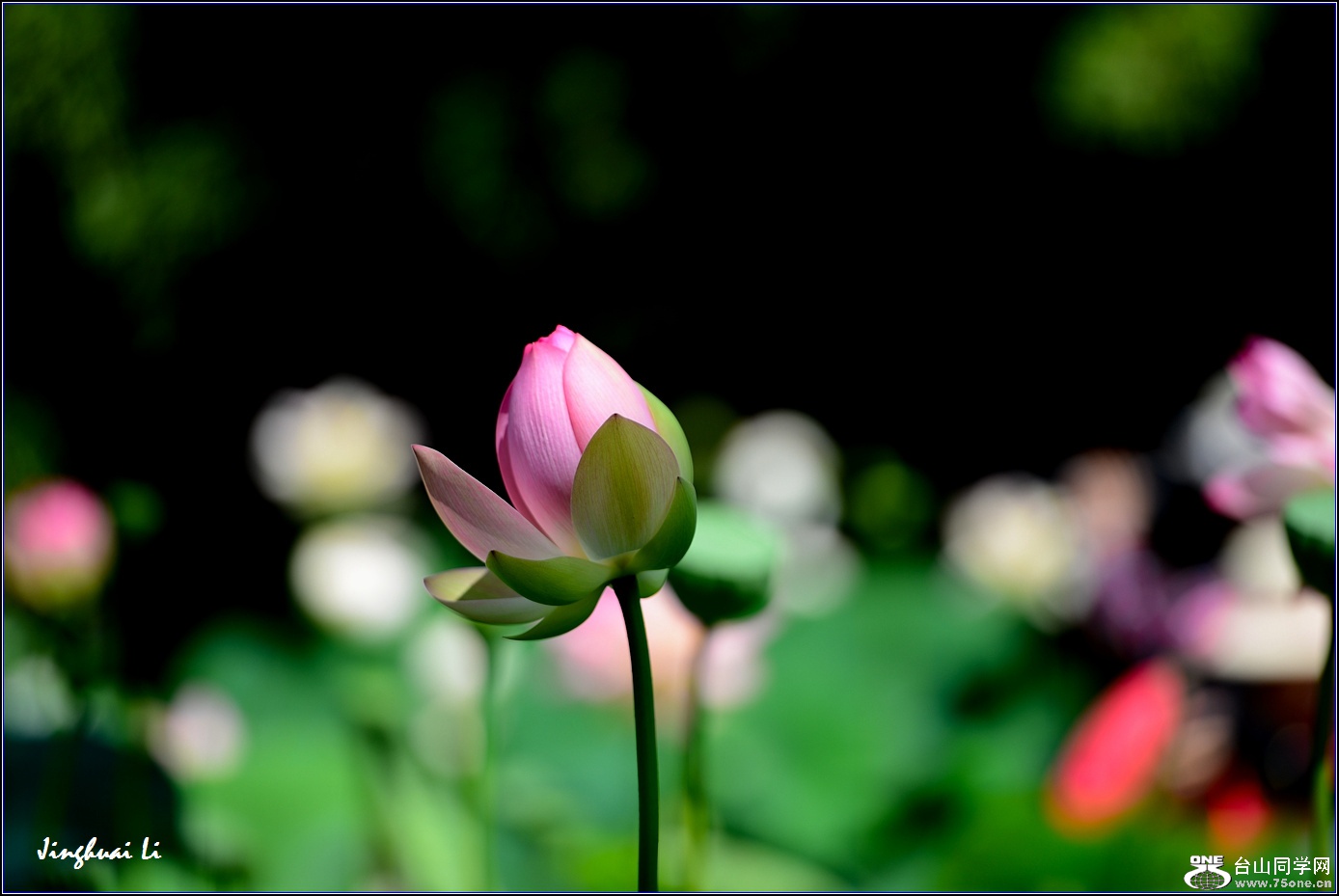 DSC_9881.jpg