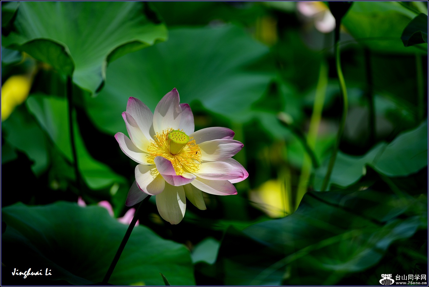 DSC_9886.jpg