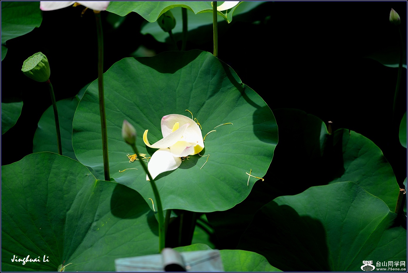 DSC_9965.jpg