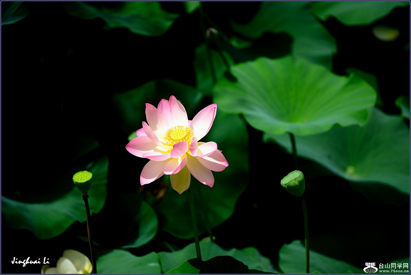 DSC_9969.jpg