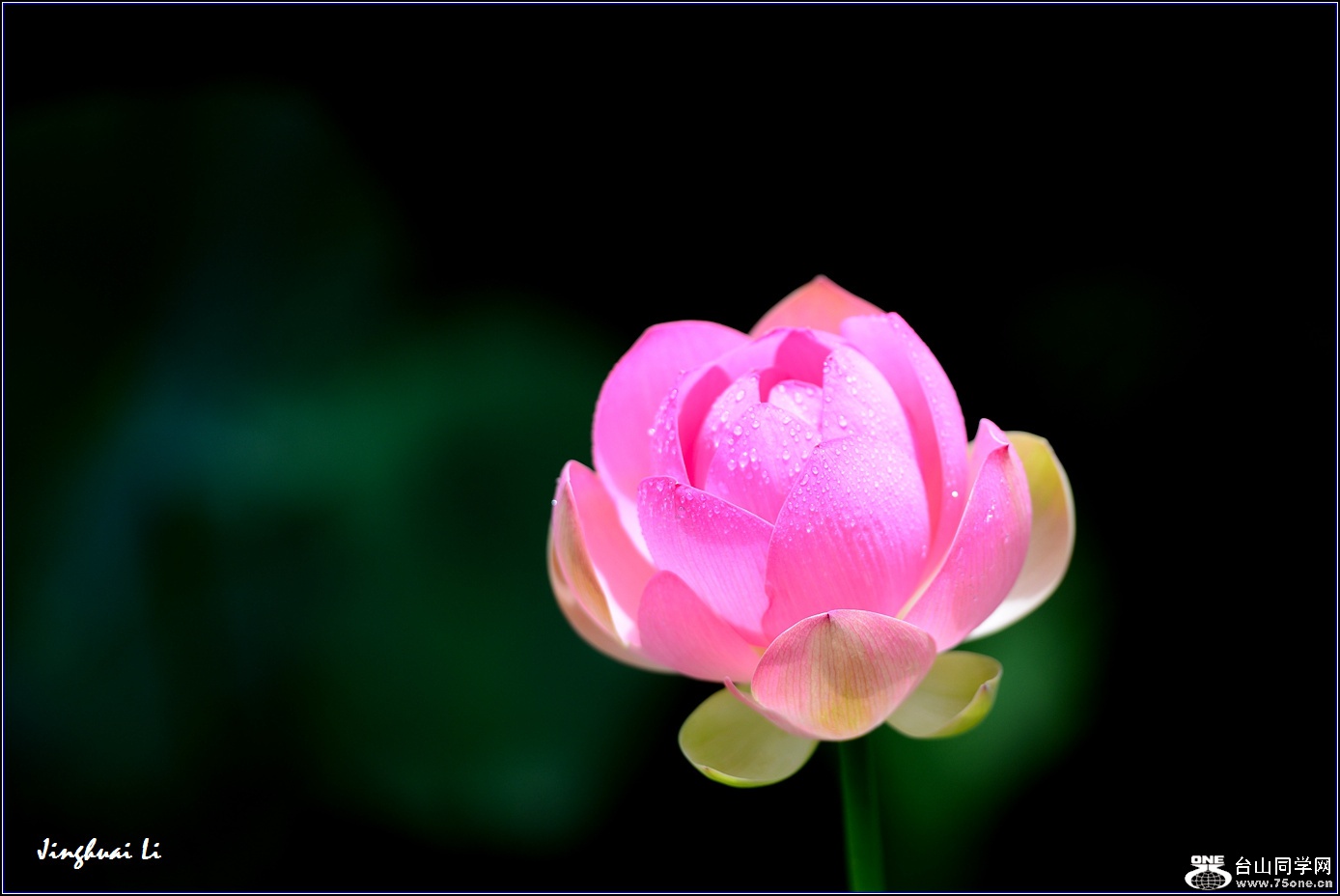 DSC_9928.jpg