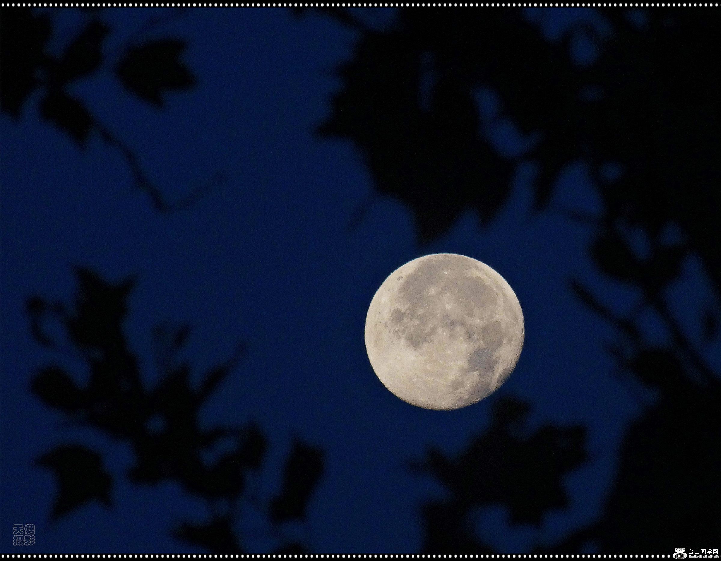 DSC00052_.jpg