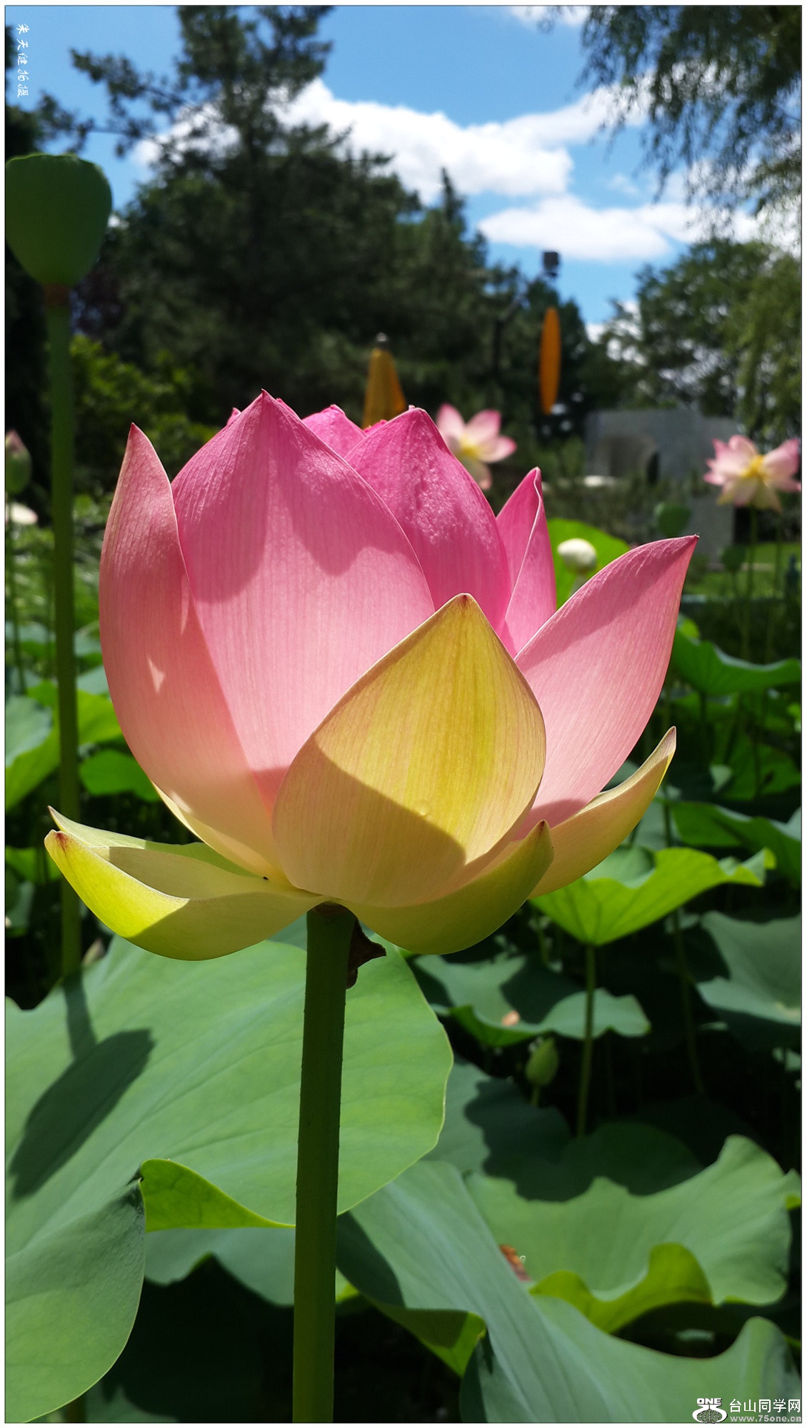 20160710_114155.jpg
