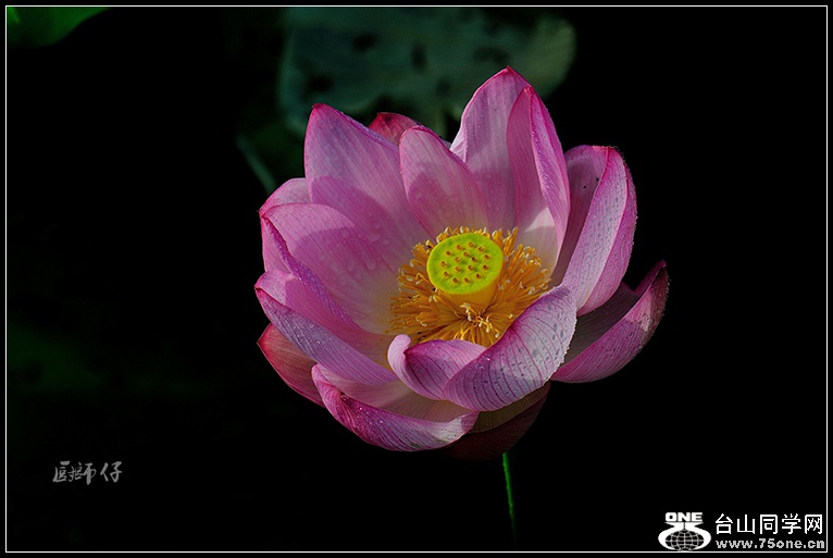 DSC_4160.jpg