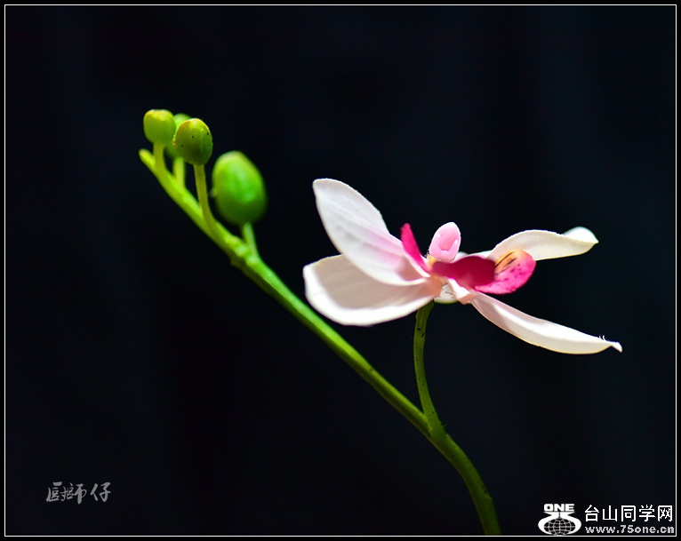 DSC_5293.jpg