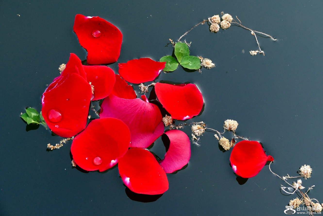 l2790419_conew1.jpg