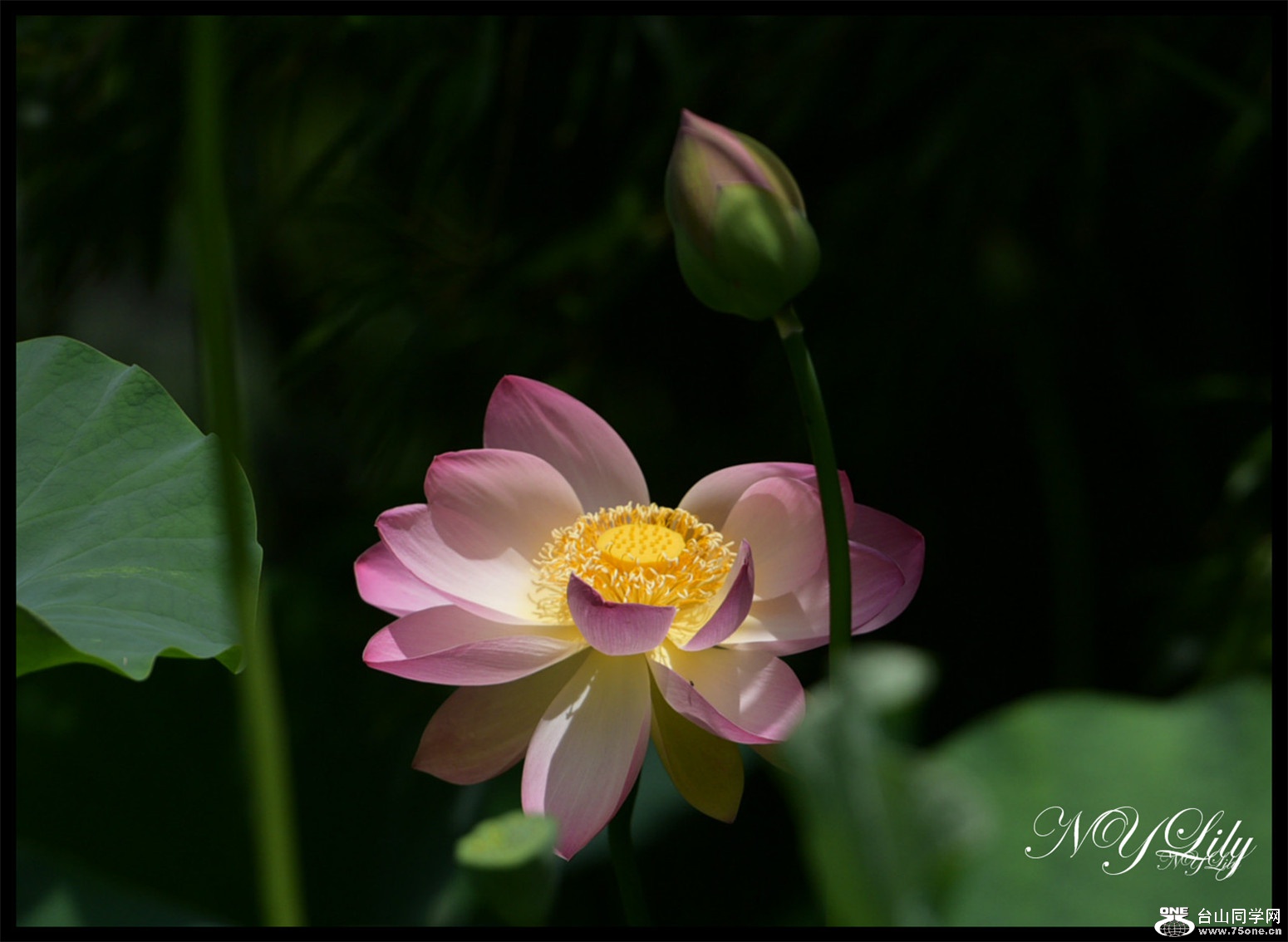 DSC_9020.JPG