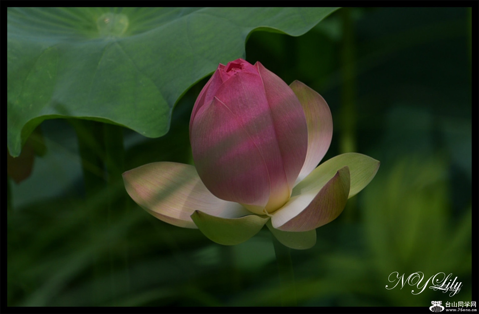 DSC_8962.JPG