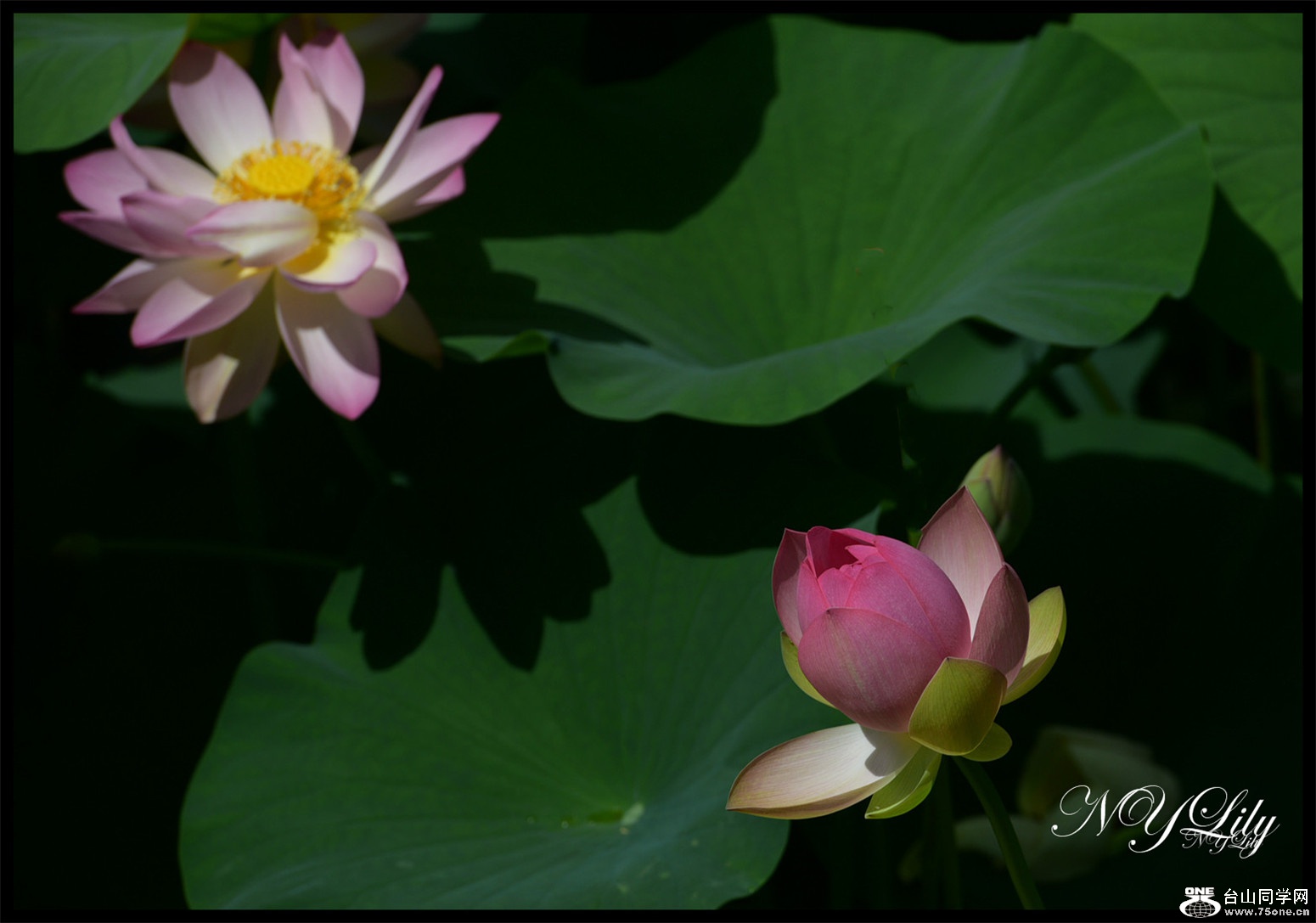 DSC_9058.JPG