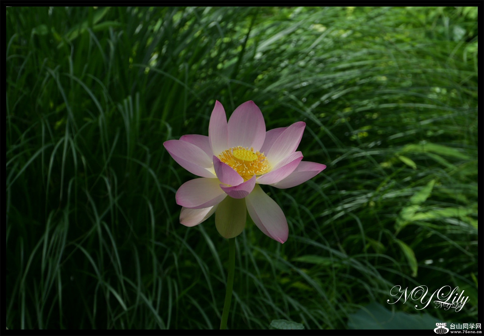 DSC_9064.JPG