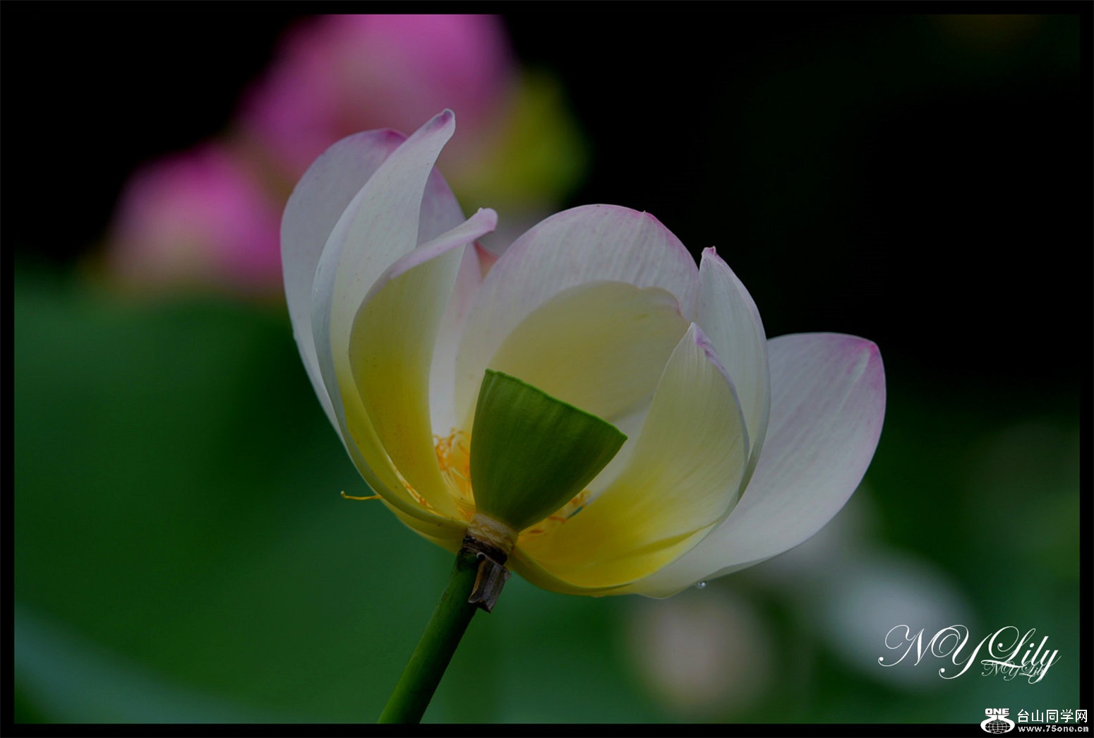 DSC_9180.JPG