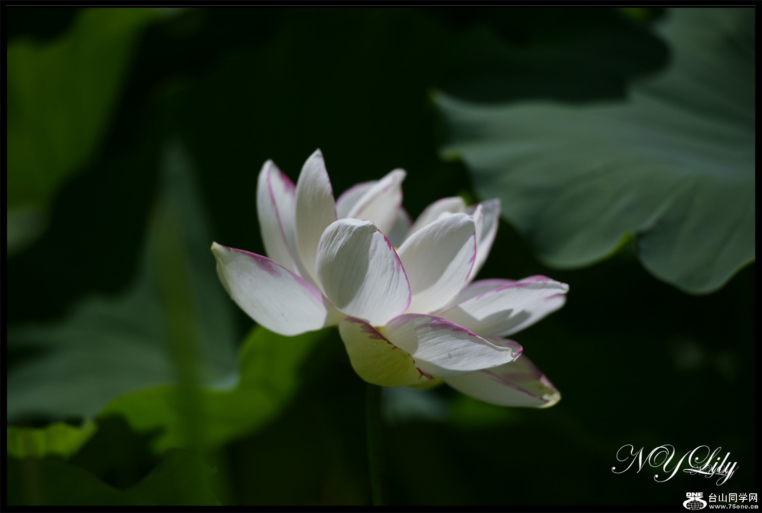 DSC_8904.JPG