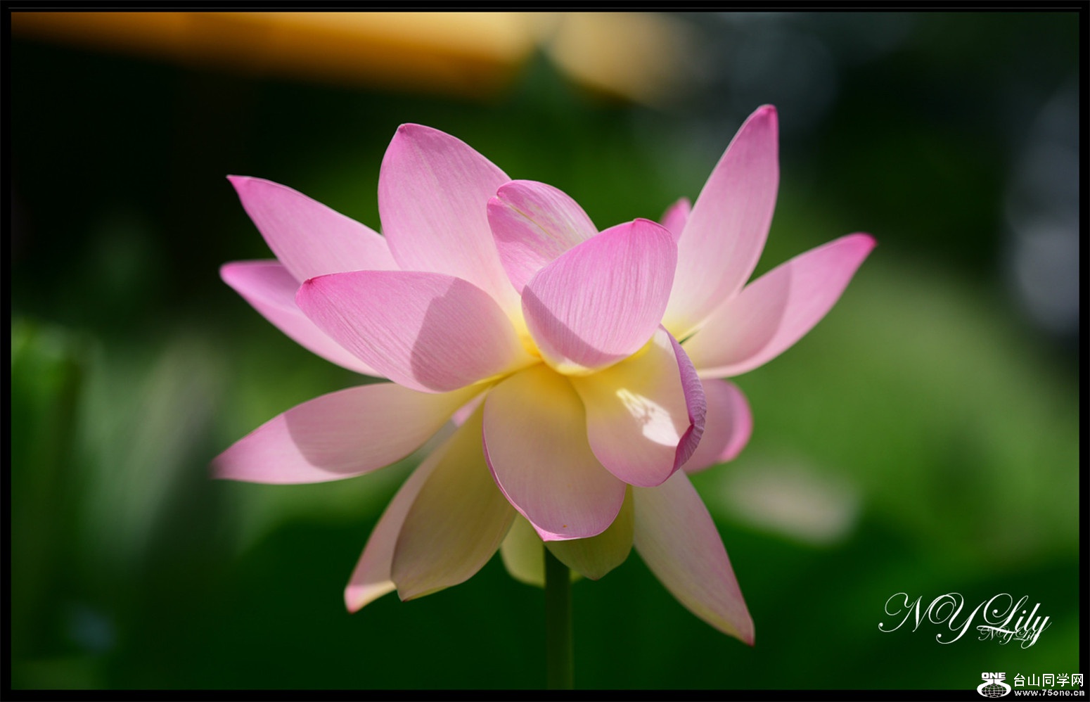 DSC_9190.JPG