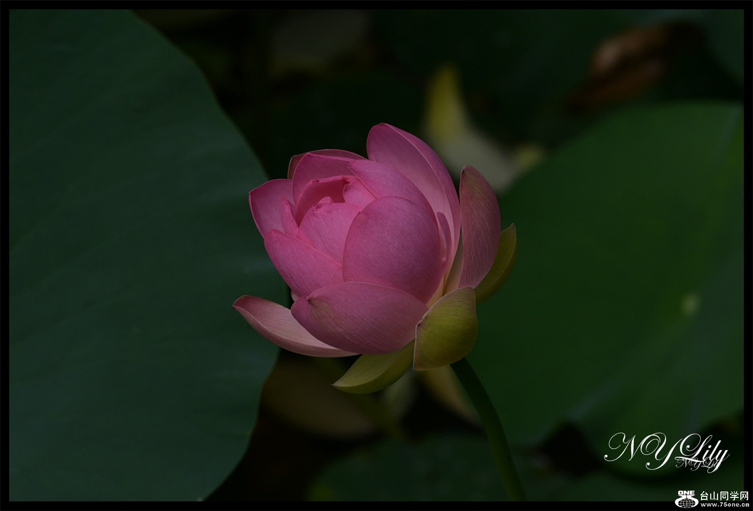 DSC_9127.JPG