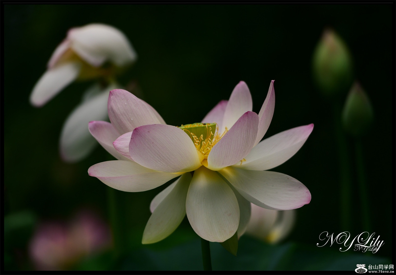 DSC_9221.JPG