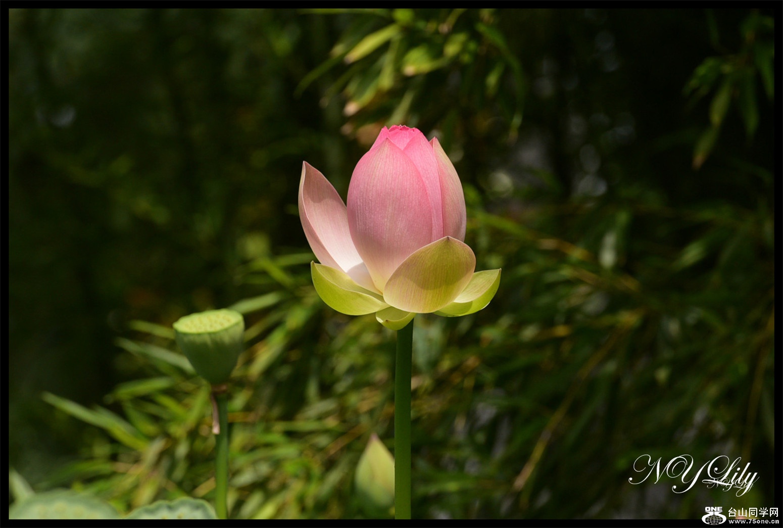 DSC_8991.JPG