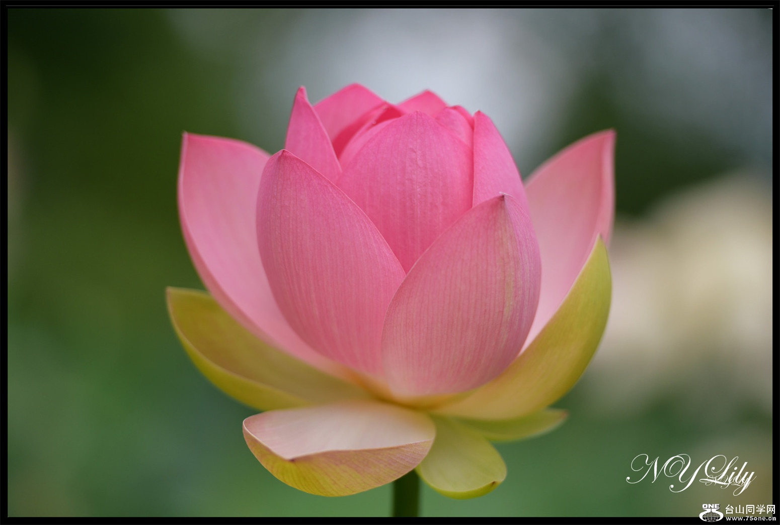 DSC_8969.JPG