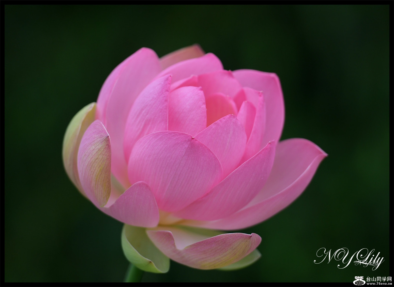 DSC_8980.JPG